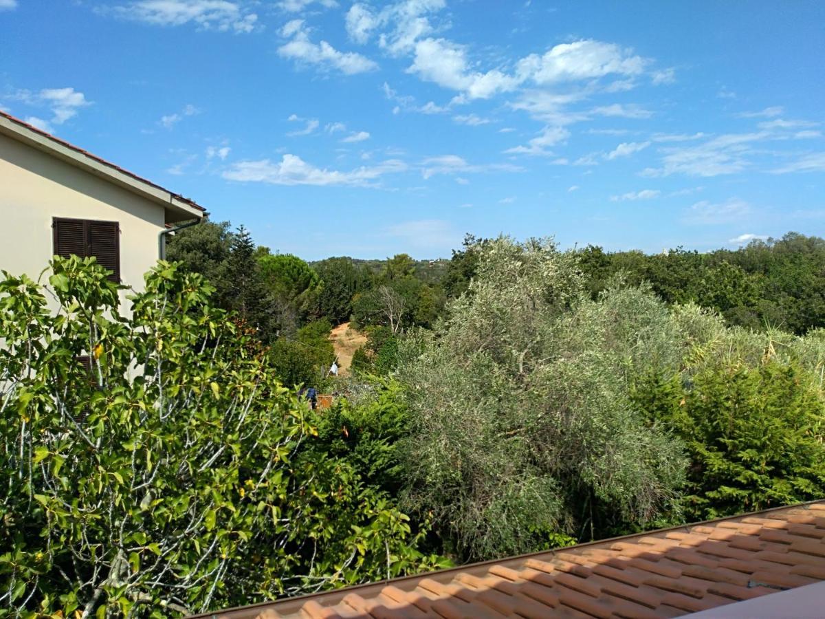 Monolocale X 2 A 1,6 Km Da Castiglioncello Lägenhet Rosignano Solvay Exteriör bild